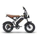 Bodywel M16 Vintage Fat Tire E-Bike