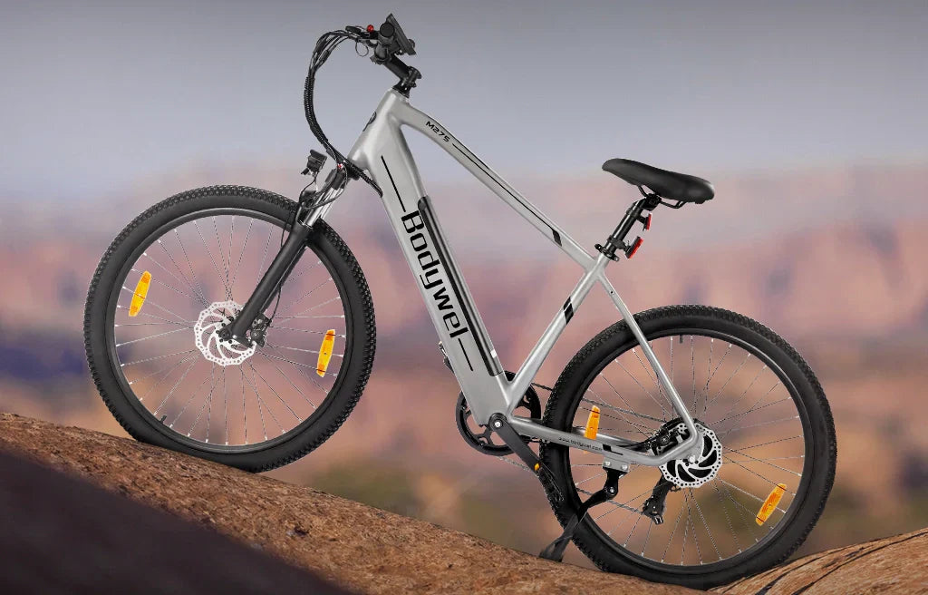 What to Consider Before Buying an Electric Mountain Bike