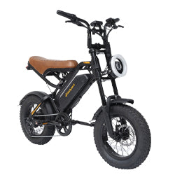 Bodywel M16 Vintage Fat Tire E-Bike