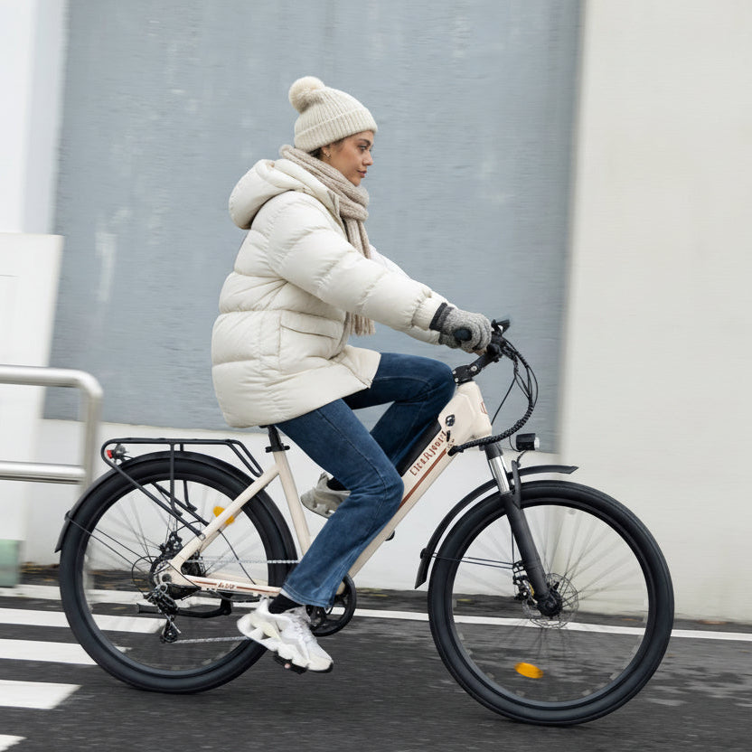 Bodywel A26 City E-Bike