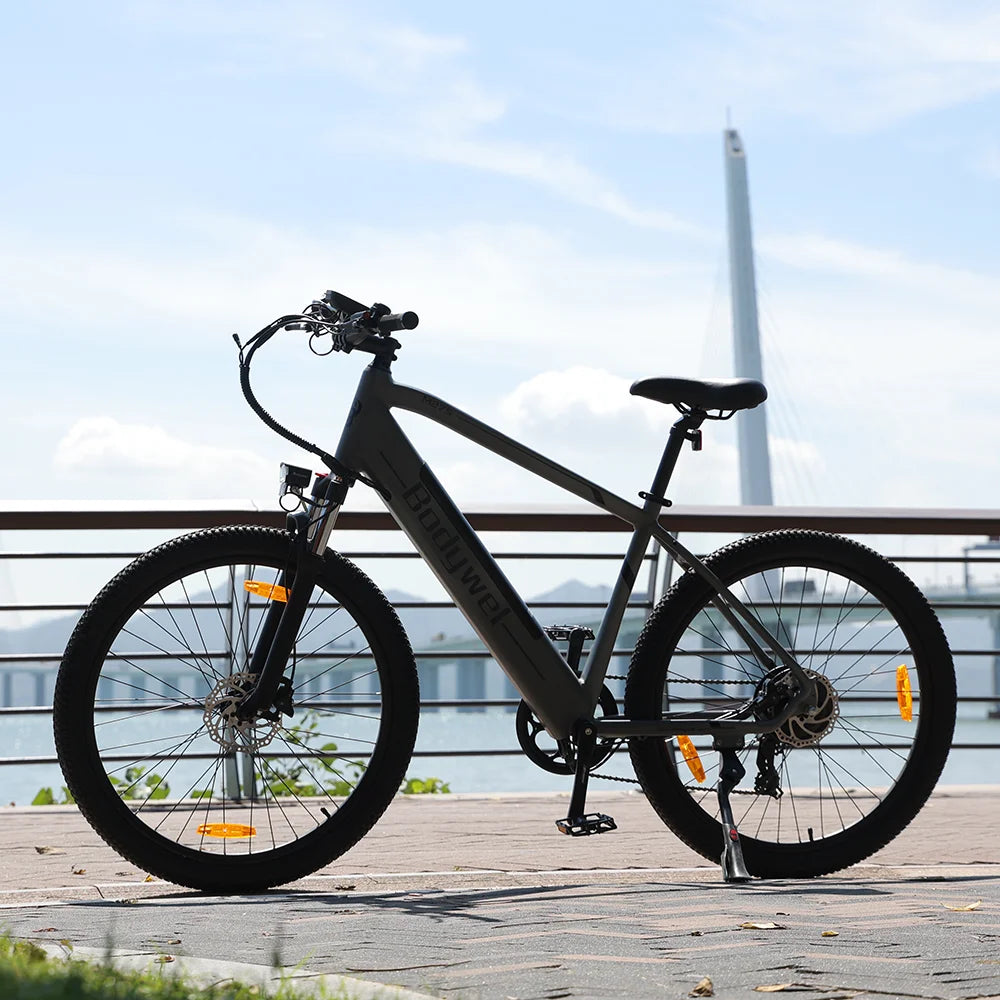 Life cycle mountain sport electric bike shop