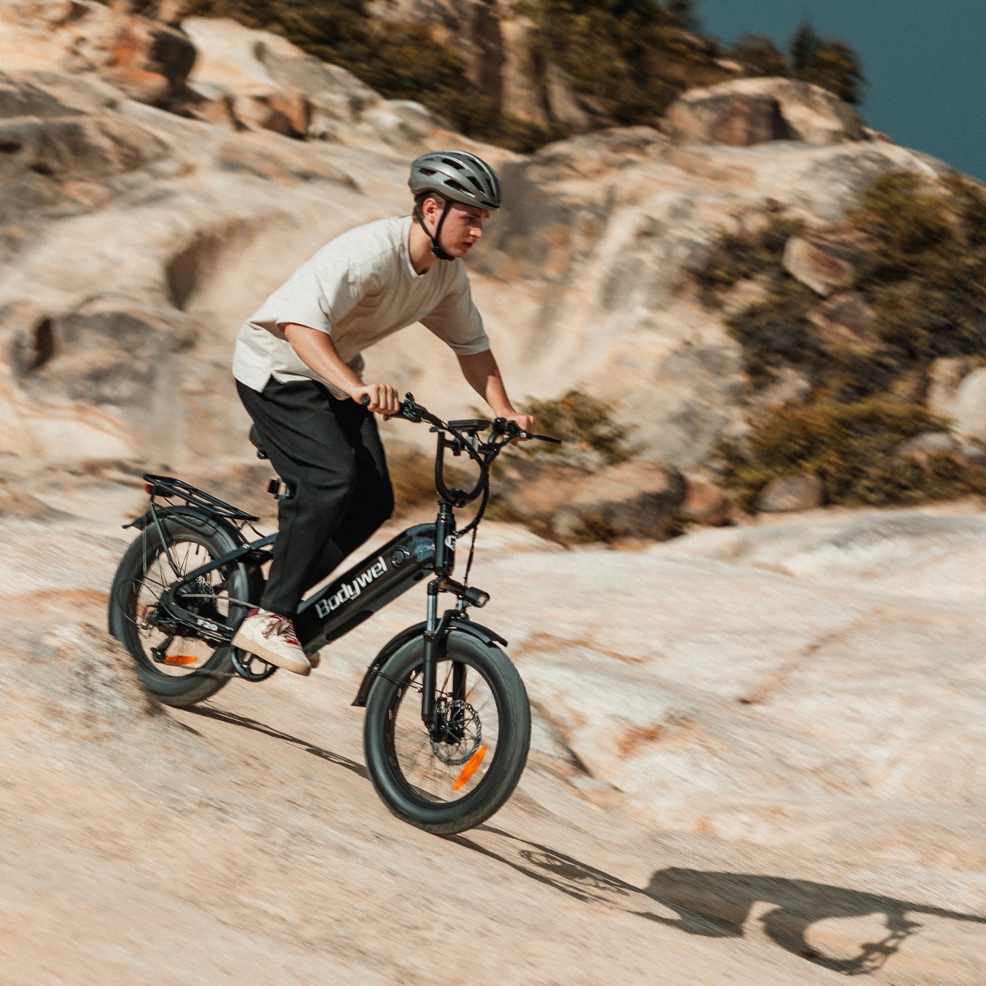 Bodywel F20 Fat Tire City E-Bike