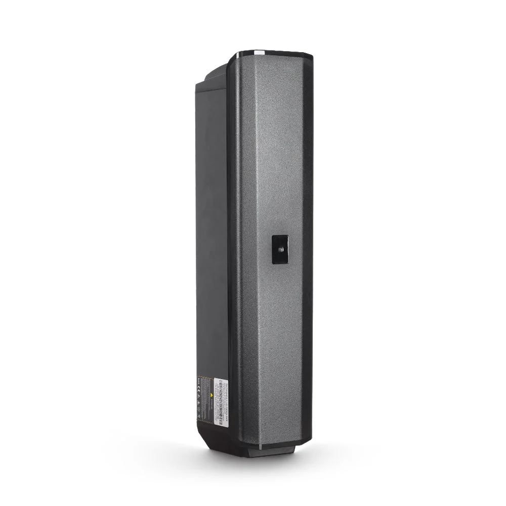 Bodywel E-Bike Battery