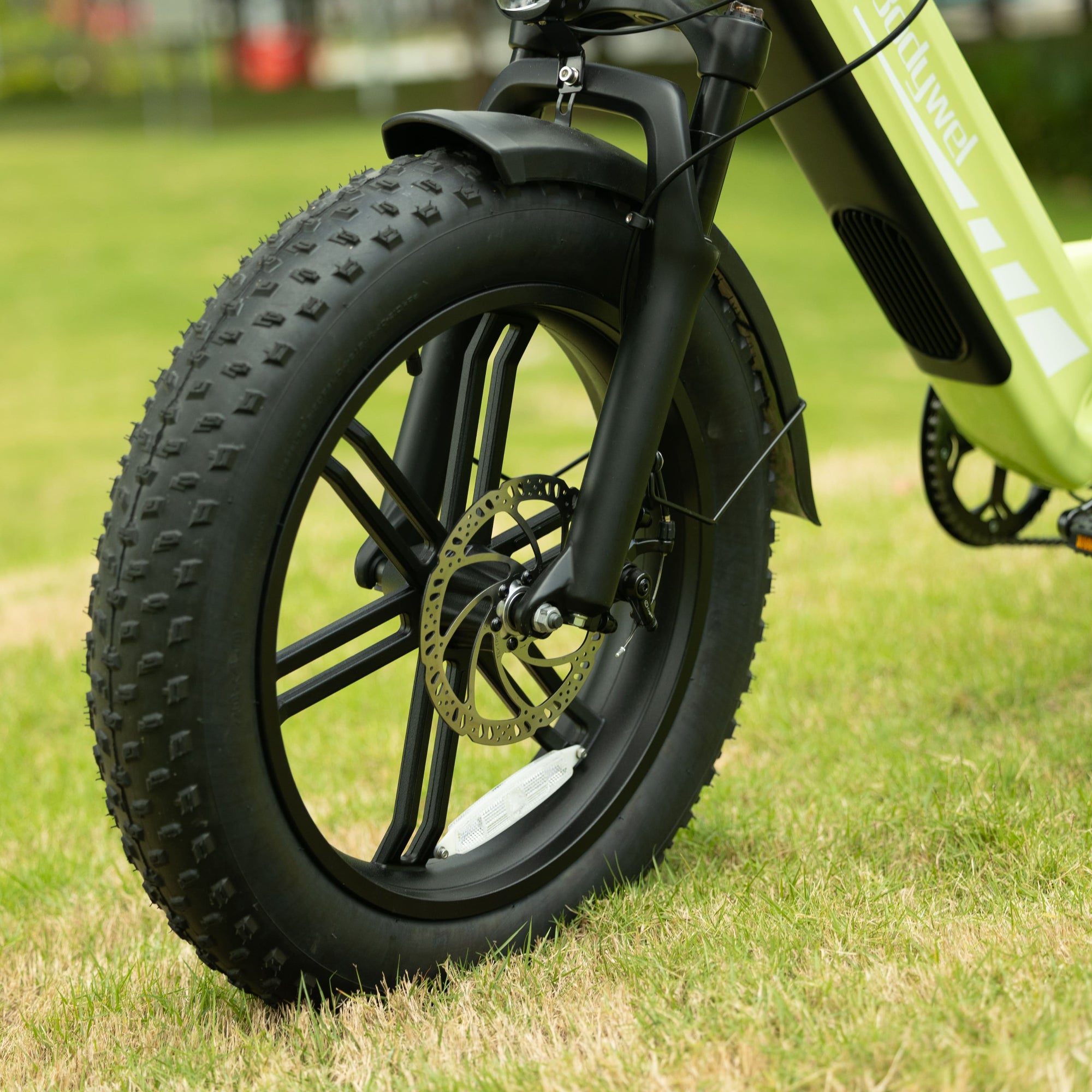 Bodywel F20 Pro Folding Fat Tire E-Bike