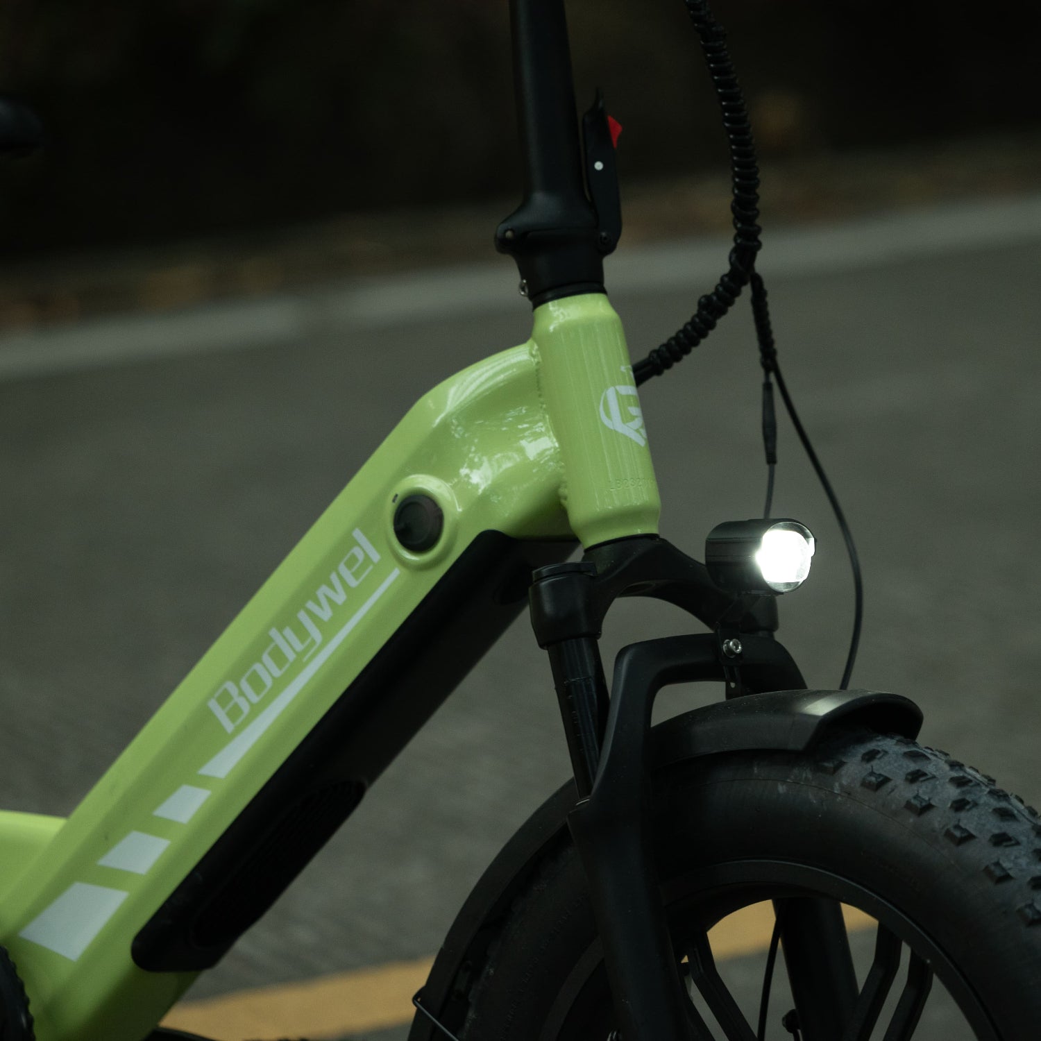 Bodywel F20 Pro Folding Fat Tire E-Bike