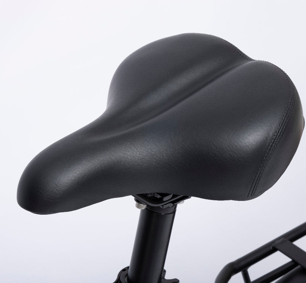 Bodywel F20 Fat Tire City E-Bike