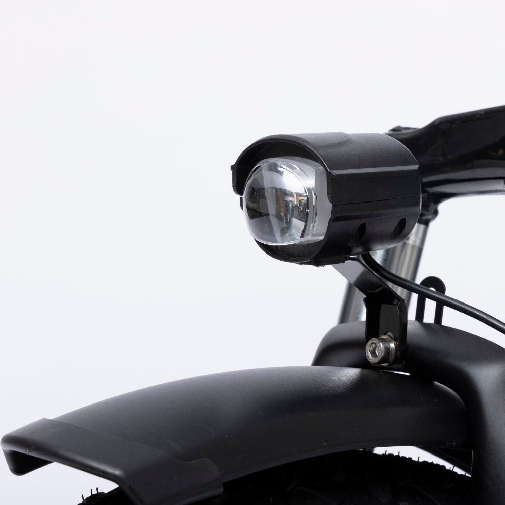 Bodywel F20 Fat Tire City E-Bike