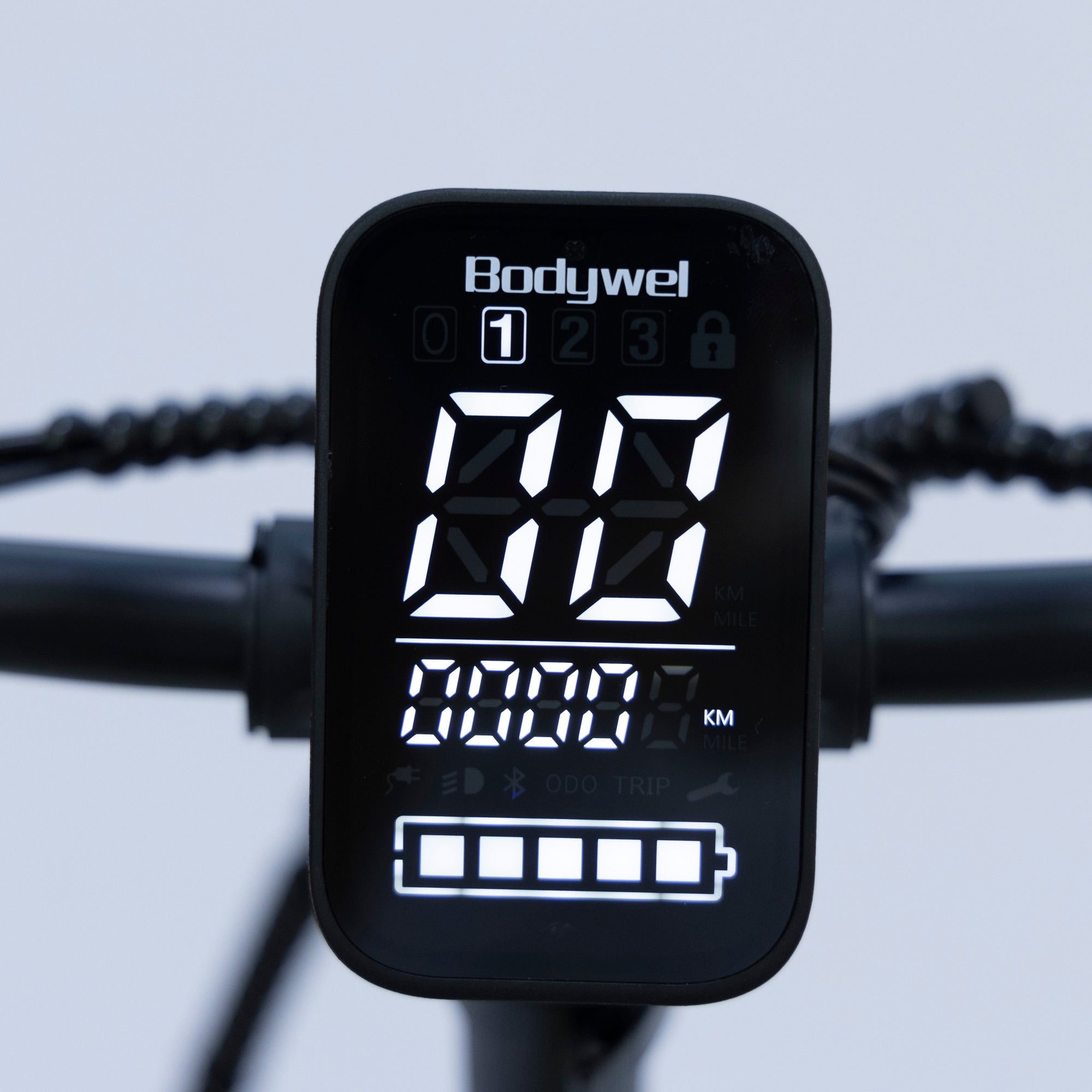 Bodywel F20 Pro Folding Fat Tire E-Bike