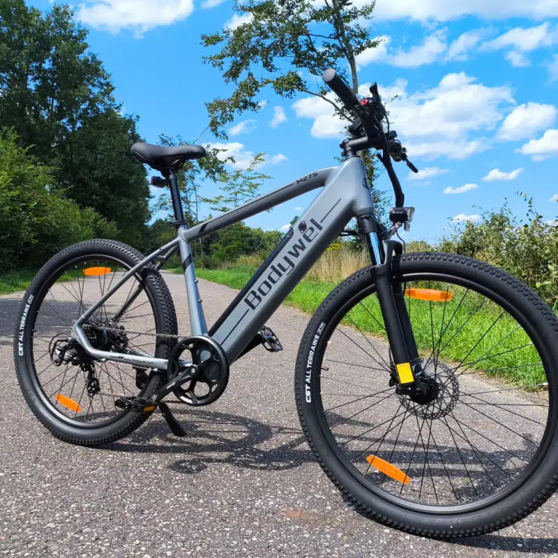 Bodywel T16&M275 Second Hand Electric Bike