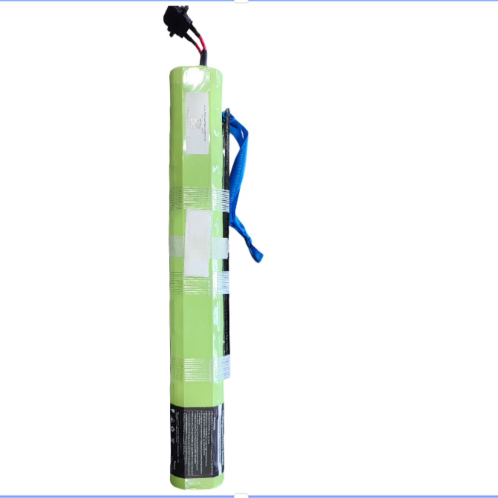 Bodywel E-Bike Battery